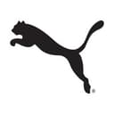 Grupo Puma