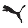 Grupo Puma